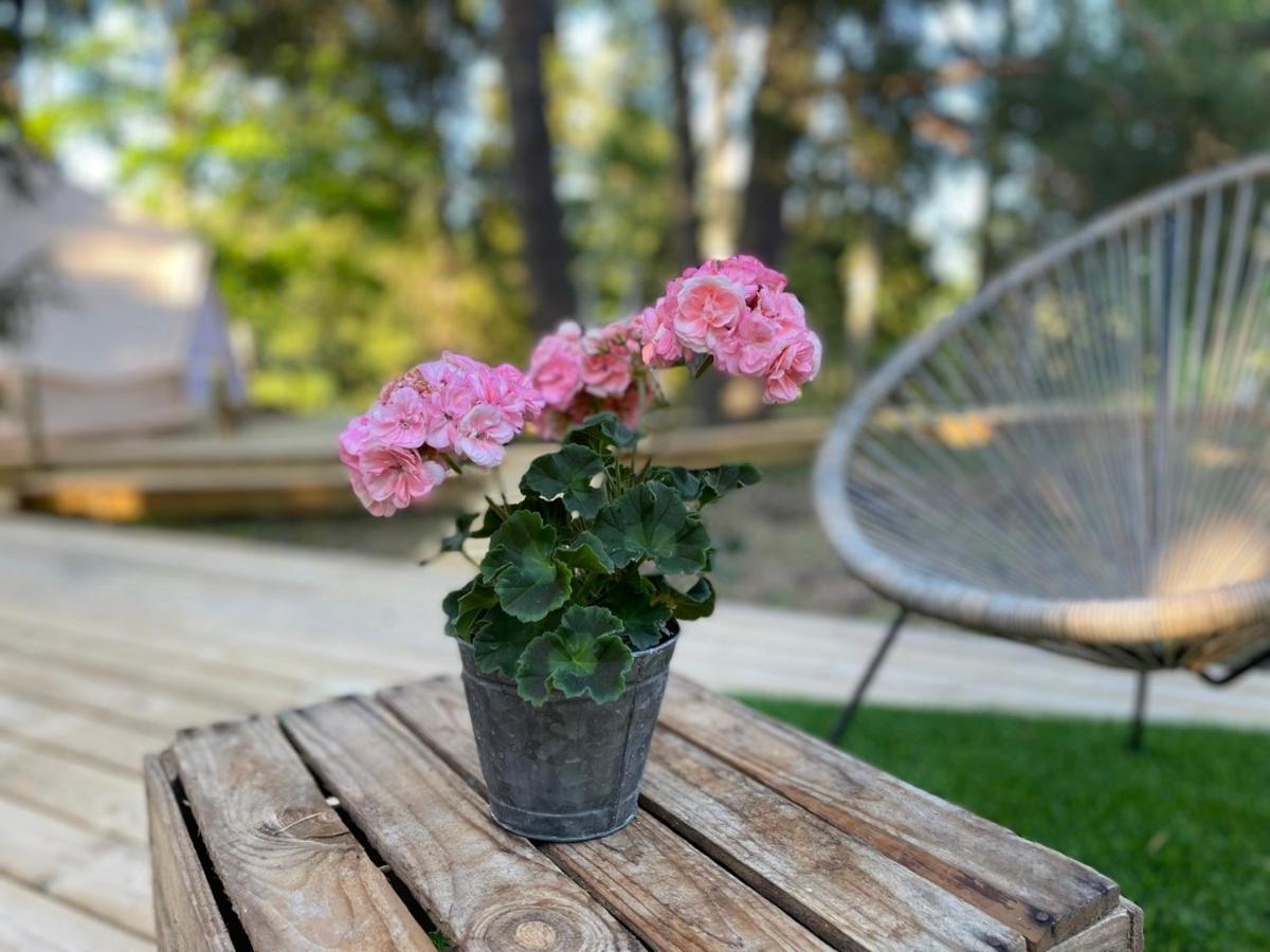 Koh Tenta A B&B In A Luxury Glamping Style Mariefred Dış mekan fotoğraf